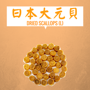 BIG SCALLOPS | 日本大元貝